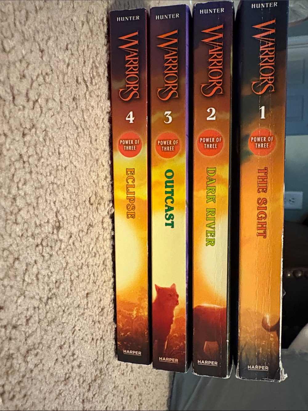 Warrior Cats Book Bundle